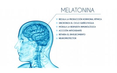 La melatonina como regulador endógeno de enfermedades: el papel de la autofagia en psiconeuroinmunología.