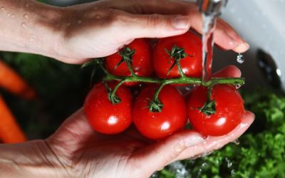 Nuevo informe: Se sospecha que casi dos tercios de los residuos de plaguicidas en los alimentos europeos son disruptores endocrinos.