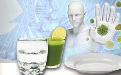 Ayunar 72 horas puede regenerar el sistema inmunológico según estudio.