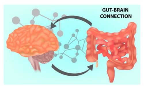 Microbiota intestinal: clave de la salud mental.