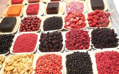 Evidencias científicas del beneficio de los alimentos ecológicos