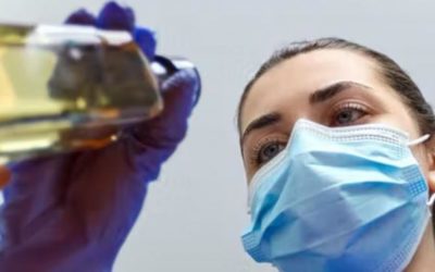 Aceite de oliva: oro líquido para combatir la covid-19.