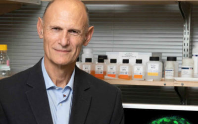 Descubren el ‘interruptor’ del envejecimiento en las células y logran apagarlo: hito con firma española.