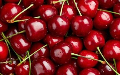 Las cerezas, la golosina saludable que ayuda a dormir mejor.