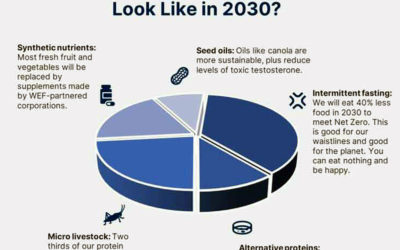 «Por qué los promotores de Great Reset están impulsando los alimentos ultraprocesados»  Artículo publicado en Children’s Health Defense