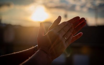 Oda al elogio: la importancia de reconocer y validar a los demás.