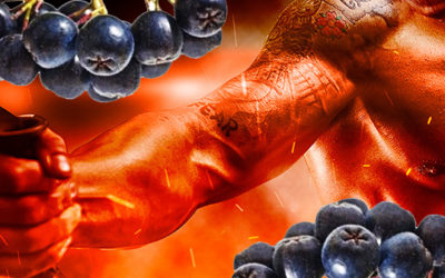 CÓMO LA ARONIA POTENCIA LA TERMOGÉNESIS.