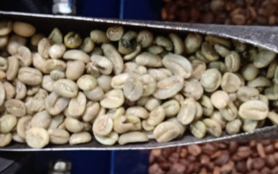 La acrilamida: un componente potencialmente tóxico que se produce en el tueste del café.