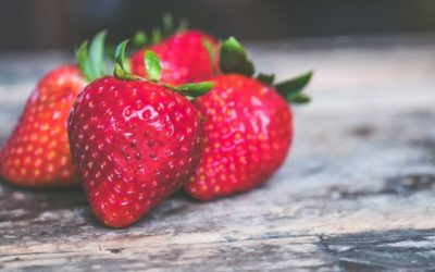 Las fresas mejoran la función cognitiva y la salud cardiovascular en los mayores.