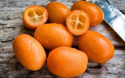 Kumquat: propiedades, beneficios y valor nutricional.